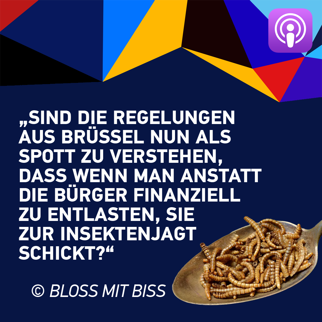 Bloss mit Biss_Insekten
